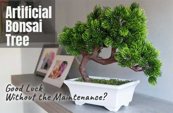 Artificial Bonsai Tree - Good Luck Without the Maintenance?