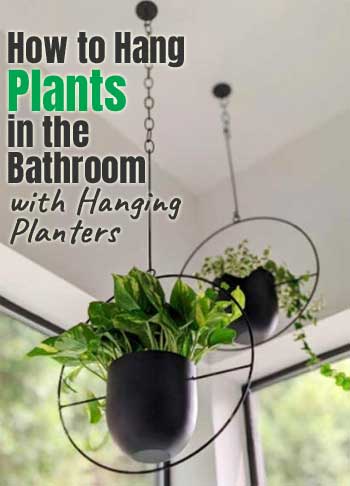 How to Hang Plants in the Bathroom with a Bathroom Plant Hanger