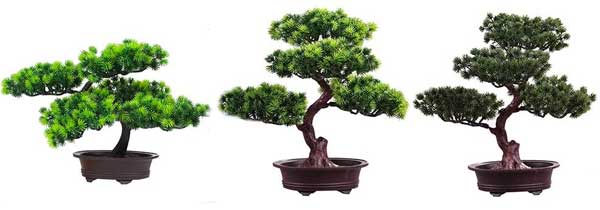 Fake Bonsai Trees