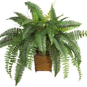 Boston Faux Fern (silk) in Wicker Decorative Basket