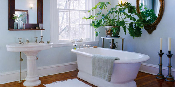 Feng Shui Bathroom Plants: Philodendron by Window and Bathtub