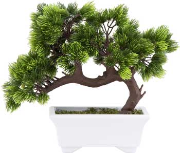 Good Luck Bonsai Tree for Bathroom in White Planter