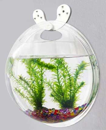 Hanging Fish Bowl on Secure Wall Hook