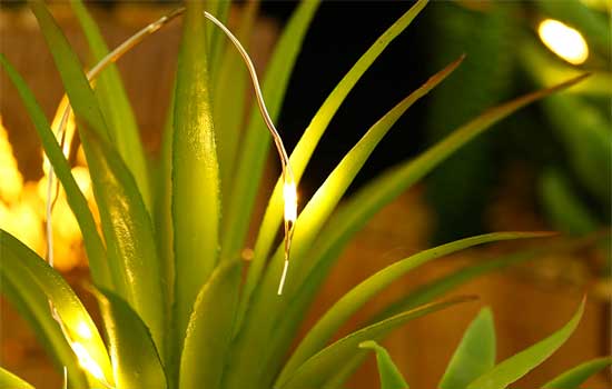 LED String Lights in Artificial Succulent Planter for Bathroom Nightlight