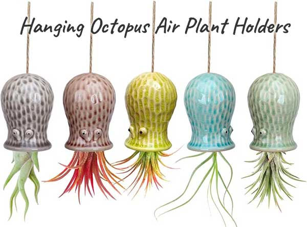 Ceramic Colorful Hanging Octopus Air Plant Holders - Easy to Hang, Great for Decorating Bathrooms