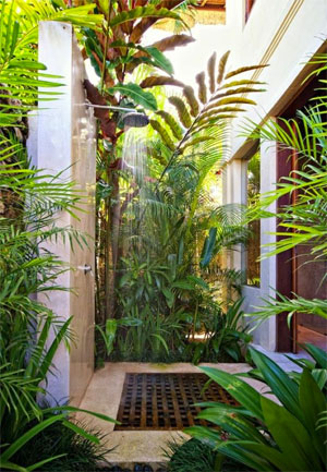 Shower Surrounded by Palm Trees