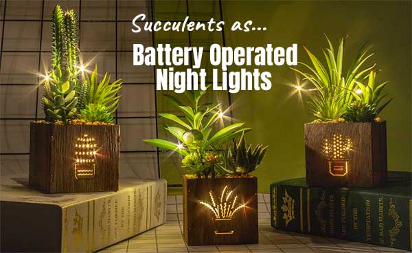 Succulent Night Lights - Artificial Plants in Wooden Boxes with LED String Lights, Battery Operated