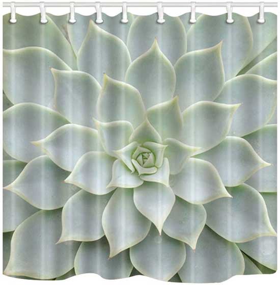 Succulent Shower Curtain