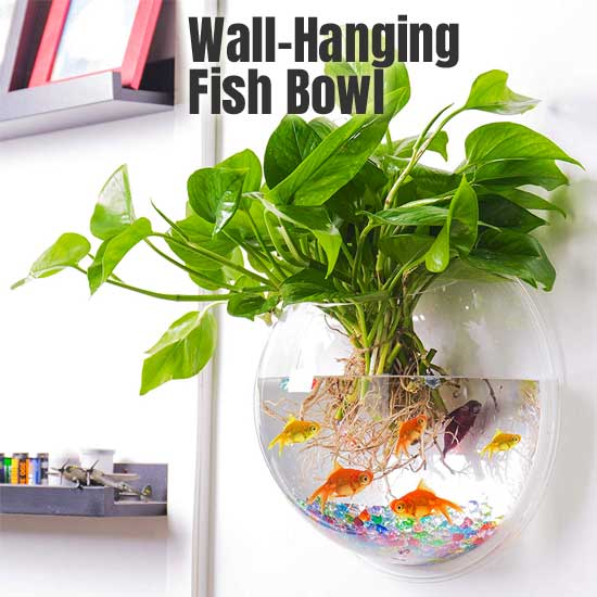 Wall Hanging Fish Bowl for Bathroom Decor